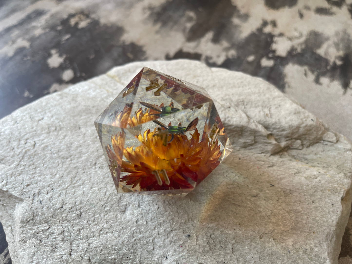 Beetle D20 chonk
