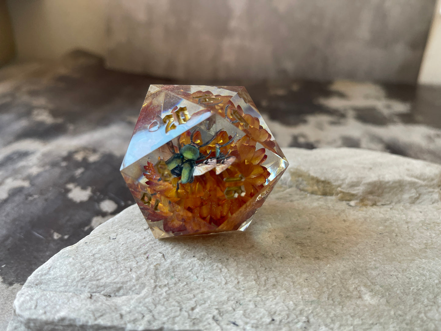 Beetle D20 chonk