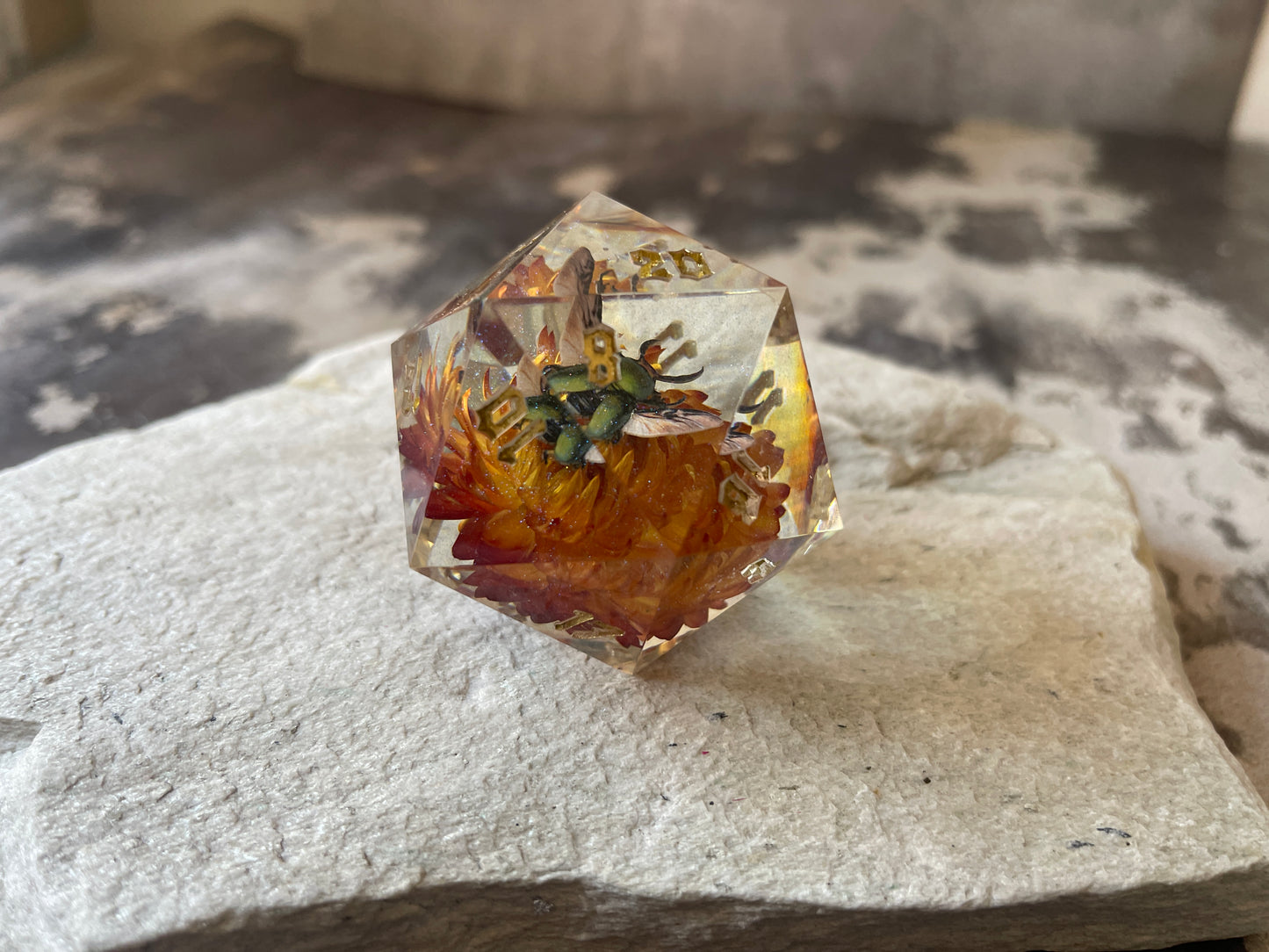 Beetle D20 chonk