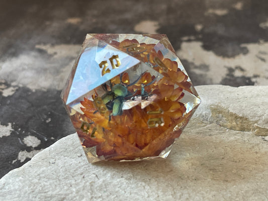 Beetle D20 chonk