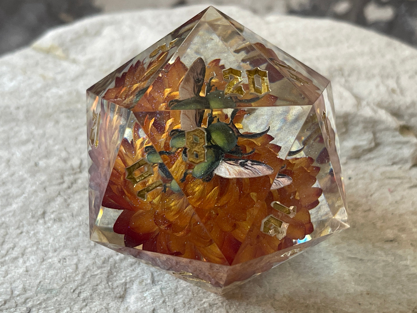 Beetle D20 chonk
